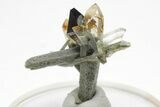 Anatase Crystal on Quartz with Chlorite Inclusions - Pakistan #207170-2